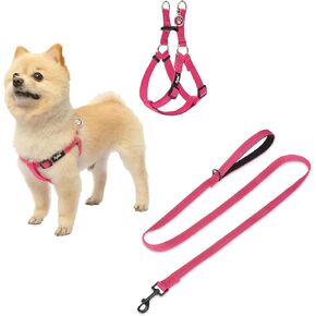 PUPTECK Dog Harness and Leash Set