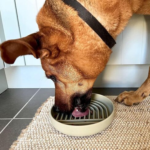 YINGFAN Slow Feeder Dog Bowls, Silicone Non-Slip Dog Slow Feeder Bowl, Puzzle Slow Eating Bowl for Medium to Small Dogs, Easy to Clean & Dishwasher Safe, 2 Cup, Green in Kuwait