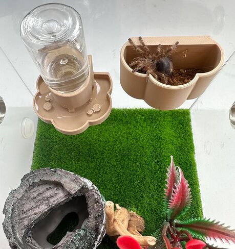 Jumping Spider Water Dispenser, Magnetic Hanging Feeder Dish with Cleaning Brush and Tweezers,Fits for Jumping Spiders,Arboreal Animals, and Other Small Animal Accessories (Black, 8ml) in Kuwait