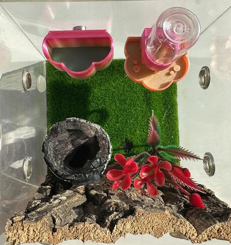 Jumping Spider Water Dispenser, Magnetic Hanging Feeder Dish with Cleaning Brush and Tweezers,Fits for Jumping Spiders,Arboreal Animals, and Other Small Animal Accessories (Black, 8ml) in Kuwait