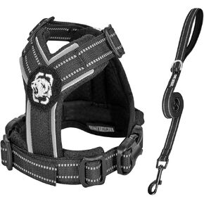 OneTigris Dog Harness with Leash Set, No Pull Adjustable Reflective Step-in Puppy Harness with Thickened Padded ANTZ Vest for Extra-Small/Small Dogs (Orange, XXXS)