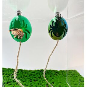 2PC Jumping Spider Hide with Magnets Spider Shape Jumping Spider Enclosure Accessories Pet Spider Hideout Enclosure Accessories(Not Included The Jumping Spider Terrarium)