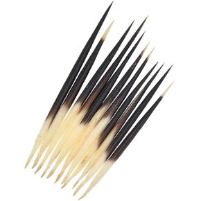 Fansoftiks 10 Pcs Porcupine Quills Hair Stick Indian Crafts Accessories Fishing Buoy DIY Sewing Project Kits Thimbles