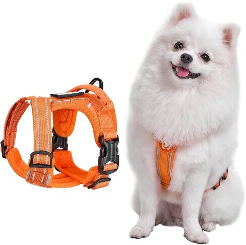 OneTigris Dog Harness with Leash Set, No Pull Adjustable Reflective Step-in Puppy Harness with Thickened Padded ANTZ Vest for Extra-Small/Small Dogs (Orange, XXXS) in Saudi Arabia