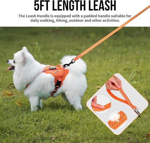 OneTigris Dog Harness with Leash Set, No Pull Adjustable Reflective Step-in Puppy Harness with Thickened Padded ANTZ Vest for Extra-Small/Small Dogs (Orange, XXXS) in Saudi Arabia