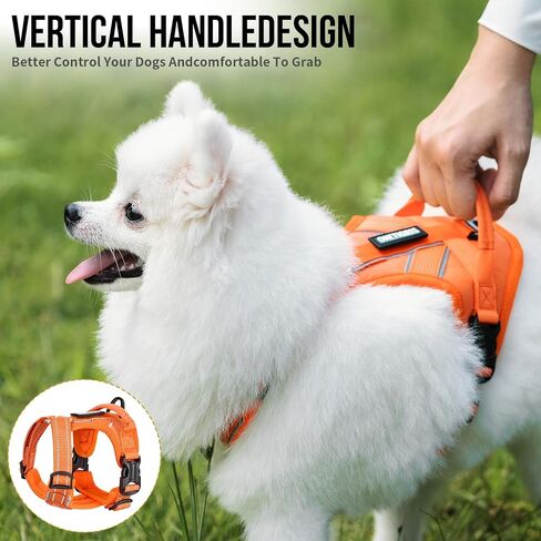 OneTigris Dog Harness with Leash Set, No Pull Adjustable Reflective Step-in Puppy Harness with Thickened Padded ANTZ Vest for Extra-Small/Small Dogs (Orange, XXXS) in Saudi Arabia