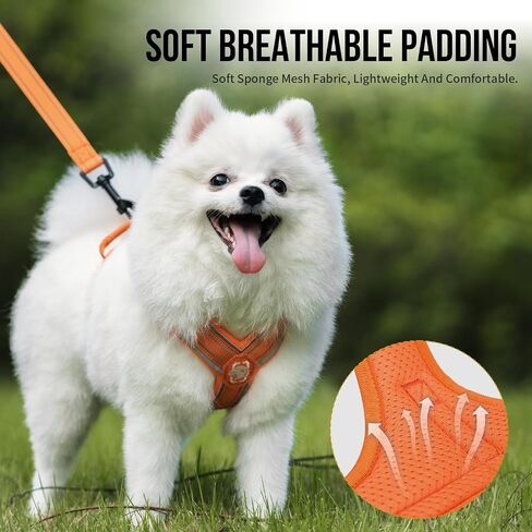 OneTigris Dog Harness with Leash Set, No Pull Adjustable Reflective Step-in Puppy Harness with Thickened Padded ANTZ Vest for Extra-Small/Small Dogs (Orange, XXXS) in Saudi Arabia