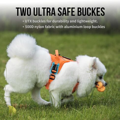 OneTigris Dog Harness with Leash Set, No Pull Adjustable Reflective Step-in Puppy Harness with Thickened Padded ANTZ Vest for Extra-Small/Small Dogs (Orange, XXXS) in Saudi Arabia