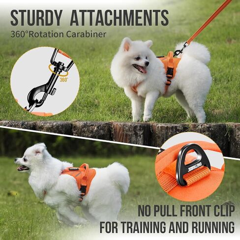 OneTigris Dog Harness with Leash Set, No Pull Adjustable Reflective Step-in Puppy Harness with Thickened Padded ANTZ Vest for Extra-Small/Small Dogs (Orange, XXXS) in Saudi Arabia