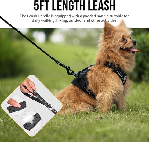 تسخير الكلب الكلب onetigris للكلاب المتوسطة الصغيرة لا سحب ، وتسخير الجرو ومجموعة المقود ، وسهولة المشي الكلب تسخير للمشي ، والركض ، والتدريب ، وتسخير الكلب antz الصغيرة ، ومتوسطة الكلب (أسود ، xxs) in Kuwait