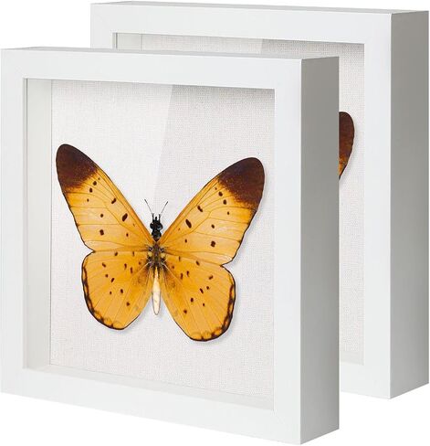 QDSSDECO 10"*10" Shadow Boxes Display Cases with Soft Linen Back Deep Wood Glass 3D Shadow Box Set for Wall and Tabletop, 3 Pack White in Kuwait