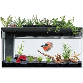 3.7 Gallon Betta Fish Tank self Cleaning,Smart Aquarium Aquarium kit with Filter Light Water Pump