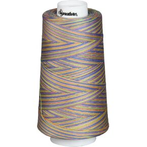 Signature Thread Machine Quilting Thread, 3000 yd, Variegated Summery Fun