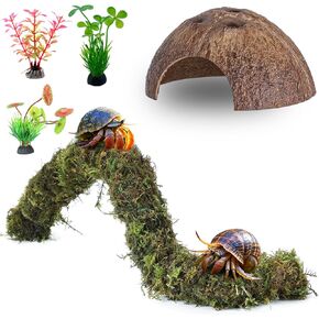 إكسسوارات سلطعون الناسك ، 5pcs سلطعون تسلق السلطعون ، كوكب جوز الهند مخبأ نباتات لمستلزمات البرمائيات الزواحف