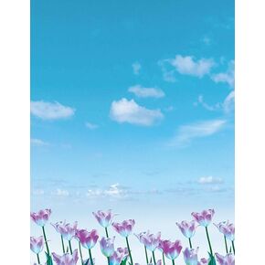 أوراق كبيرة! Tulips Field Letterhead ، للدعوات والإعلانات والرسائل الشخصية ، الطابعة الصديقة 8.5 "× 11" ، 50 حزمة (2023073)