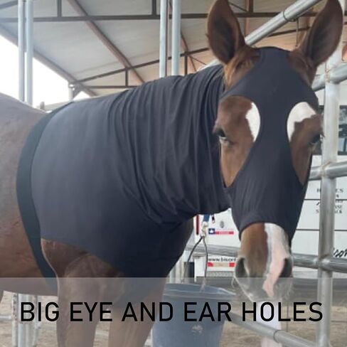 Lycra Stretch Horse Hood with Zip Full Face Neck Cover (Black, S) in Kuwait
