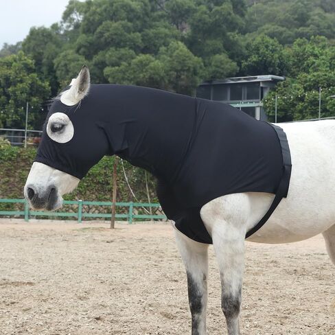 Lycra Stretch Horse Hood with Zip Full Face Neck Cover (Black, S) in Kuwait