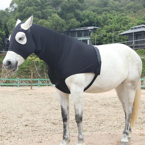 Lycra Stretch Horse Hood with Zip Full Face Neck Cover (Black, S) in Kuwait