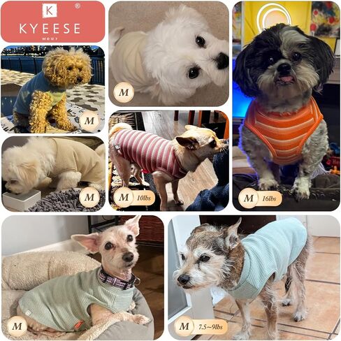 KYEESE 2Pack Waffle Dog Shirt for Small Dogs Striped Dog Sweater Tank Top in Kuwait