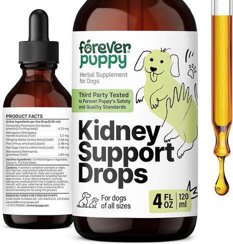Kidney Support for Dogs - Cordyceps Mushroom & Stinging Nettle Leaf Extract - Liquid Alternative to Treats and Chews - Dog Supplements and Vitamins - Sugar & Alcohol-Free - 4 fl oz in Saudi Arabia