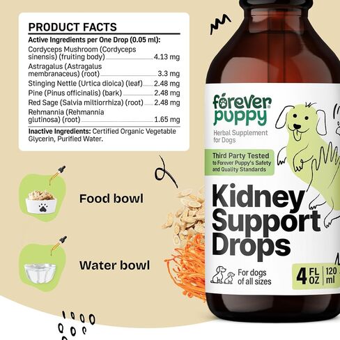 Kidney Support for Dogs - Cordyceps Mushroom & Stinging Nettle Leaf Extract - Liquid Alternative to Treats and Chews - Dog Supplements and Vitamins - Sugar & Alcohol-Free - 4 fl oz in Saudi Arabia