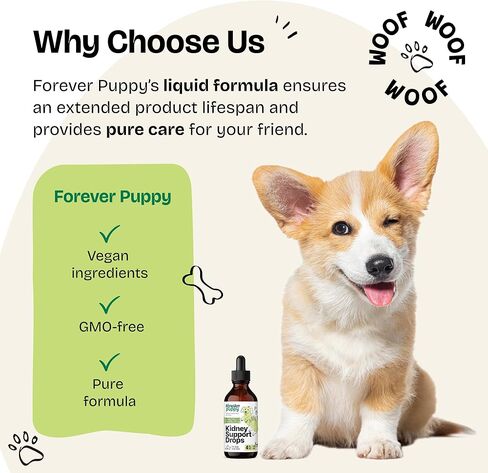 Kidney Support for Dogs - Cordyceps Mushroom & Stinging Nettle Leaf Extract - Liquid Alternative to Treats and Chews - Dog Supplements and Vitamins - Sugar & Alcohol-Free - 4 fl oz in Saudi Arabia