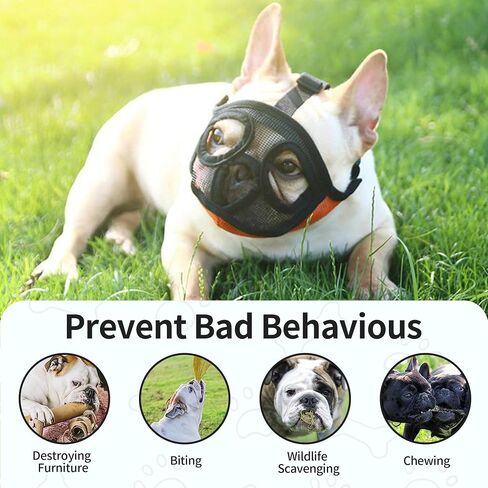 Short Snout Dog Muzzle, French Bulldog Muzzle with Soft Mesh Adjustable Anti Bitting Chewing Barking for Small Medium Large Breeds Pug/Shih Tzu/Boston Terrier Orange S in Saudi Arabia