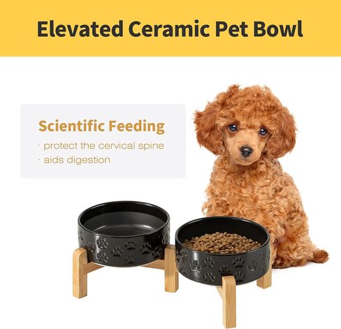 2 Pack Elevated Ceramic Dog Bowls, 6.1 inch Raised Dog Bowl with 2-Height Adjustable Stand for Small Dogs, Reducing Neck Strain (Double Bowls + Double Stands - White, 6 inch) in Kuwait