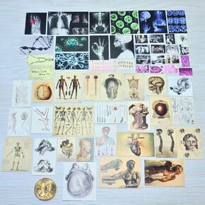 57 PCS 1/6 SCALE MINITARE MEDITAGE MEDITIONS - مخططات تشريح الأشياء المصغرة واقعية (الأشعة السينية ، الجراحة ، المجهر) لدمى الأزياء 11.5 بوصة - ملحقات Dollhouse للديكور واللعب