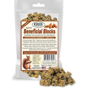 Exotic Nutrition Beneficial Blocks (10 oz.) - Healthy & Unique Supplemental Food with Nuts & Seeds for Squirrels