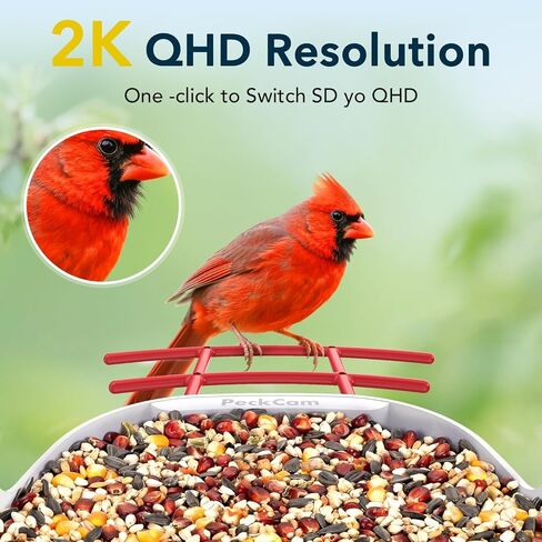 Smart Bird Feeder with Camera 2K Live Real-Time Alert AI Identify with 32G Card DIY Attachments Camera Bird Feeder Solar Powered Wireless Outdoor Birdwatching Gift for Birds Lover, Red in Saudi Arabia