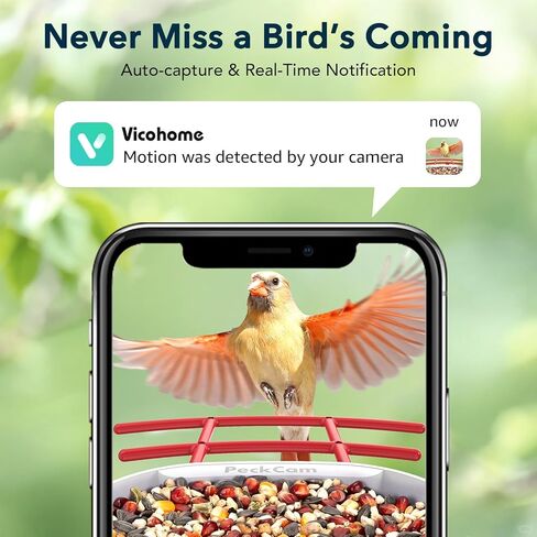Smart Bird Feeder with Camera 2K Live Real-Time Alert AI Identify with 32G Card DIY Attachments Camera Bird Feeder Solar Powered Wireless Outdoor Birdwatching Gift for Birds Lover, Red in Saudi Arabia
