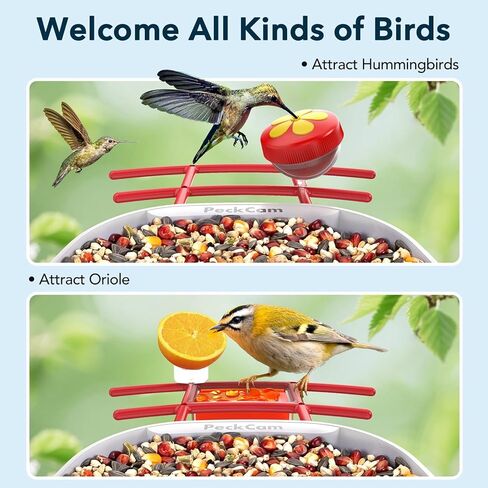 Smart Bird Feeder with Camera 2K Live Real-Time Alert AI Identify with 32G Card DIY Attachments Camera Bird Feeder Solar Powered Wireless Outdoor Birdwatching Gift for Birds Lover, Red in Saudi Arabia