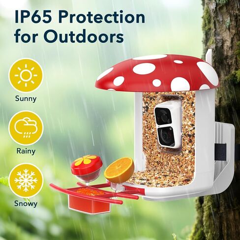 Smart Bird Feeder with Camera 2K Live Real-Time Alert AI Identify with 32G Card DIY Attachments Camera Bird Feeder Solar Powered Wireless Outdoor Birdwatching Gift for Birds Lover, Red in Saudi Arabia