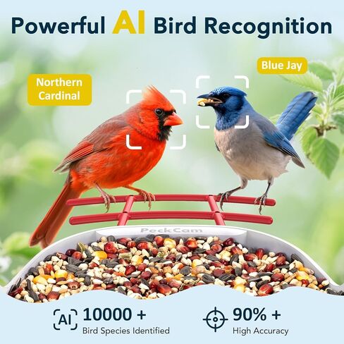 Smart Bird Feeder with Camera 2K Live Real-Time Alert AI Identify with 32G Card DIY Attachments Camera Bird Feeder Solar Powered Wireless Outdoor Birdwatching Gift for Birds Lover, Red in Saudi Arabia