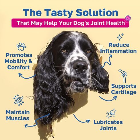 Mobility Hip & Joint Health Support for Dogs, Soft Chews with Glucosamine, Chondroitin, Msm, Green Lipped Mussel, Turmeric & Hyaluronic Acid, Organic, Vegan, Bacon Flavor, 100 Count in Kuwait