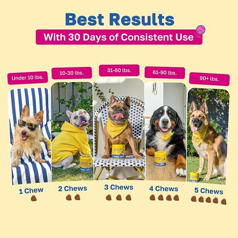 Mobility Hip & Joint Health Support for Dogs, Soft Chews with Glucosamine, Chondroitin, Msm, Green Lipped Mussel, Turmeric & Hyaluronic Acid, Organic, Vegan, Bacon Flavor, 100 Count in Kuwait