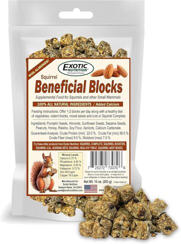 Exotic Nutrition Beneficial Blocks (10 oz.) - Healthy & Unique Supplemental Food with Nuts & Seeds for Squirrels in Kuwait