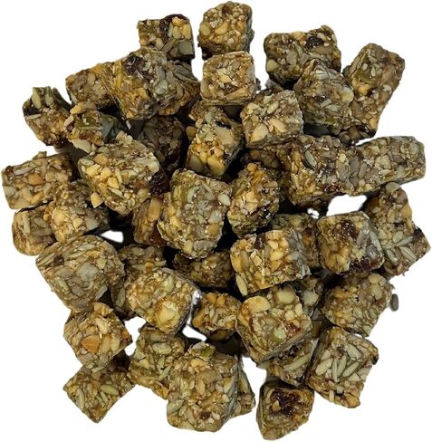 Exotic Nutrition Beneficial Blocks (10 oz.) - Healthy & Unique Supplemental Food with Nuts & Seeds for Squirrels in Kuwait