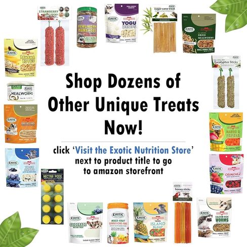 Exotic Nutrition Beneficial Blocks (10 oz.) - Healthy & Unique Supplemental Food with Nuts & Seeds for Squirrels in Kuwait