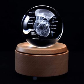 3D Heart Heart with ملصقات طراز تشريحي الوزن (محفور بالليزر) في هدية علمية الكرة الزجاجية الكريستالية (شملت قاعدة LED)