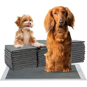 FPN Charcoal Puppy Pads 24"x36" Pack of 25 Odor-Control Super Absorbent 5-Layer Leak-Proof Disposable Pee Pads for Dogs, Cats & Rabbits – Ideal for All Pets