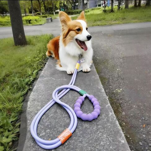 Anlitent Double Dog Leashes for Small Medium Large Sized Dogs Heavy Duty Hands-Free Walking Leash, Rope Dog Lead with Comfort Handle, Multi-Function Leads Adjustable Length Long 5ft(Blue) in Saudi Arabia