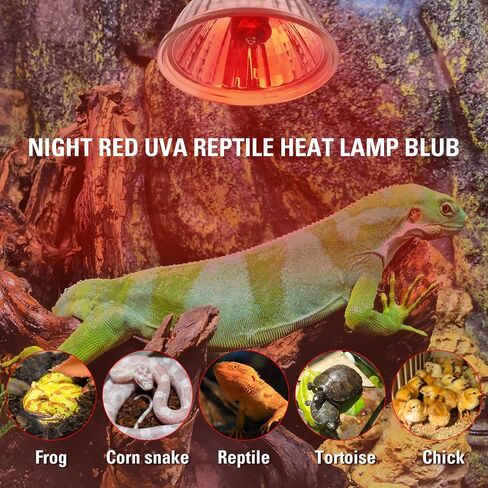 4 Pack UVA Infrared Reptile Heat Bulbs,Turtle Heat Lamp for Reptile and Amphibian Tanks,Terrariums and Cages,Night Red Heat Lamp Bulbs for Chickens Coop Brooder (RED Light, 50W) in Saudi Arabia