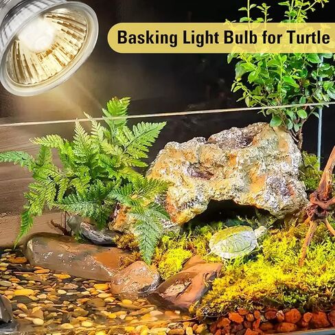 4 Pack UVA Infrared Reptile Heat Bulbs,Turtle Heat Lamp for Reptile and Amphibian Tanks,Terrariums and Cages,Night Red Heat Lamp Bulbs for Chickens Coop Brooder (RED Light, 50W) in Saudi Arabia