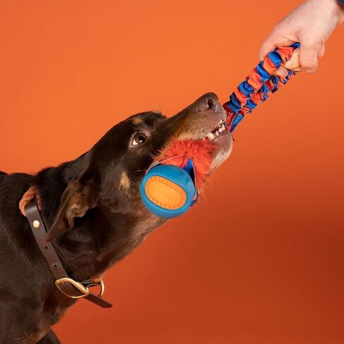 Tug-E-Nuff Pocket PowerBall Fauxtastic | Pocket-Sized Tug Toy | Durable Bungee Tug Toy for Dogs | Ideal for Interactive Dog Training and Dogs of All Ages | Made of Durable Faux Fur in Saudi Arabia