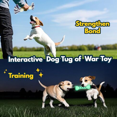 Glow-in-The-Dark Dog Toy – Interactive Fetch, Tug & Treat Puzzle for Small Dogs, 13" Lightweight Flying Disc with Dental Cleaning Texture, TPR & Rope Calming Chew Toy for Anxiety Relief in Kuwait