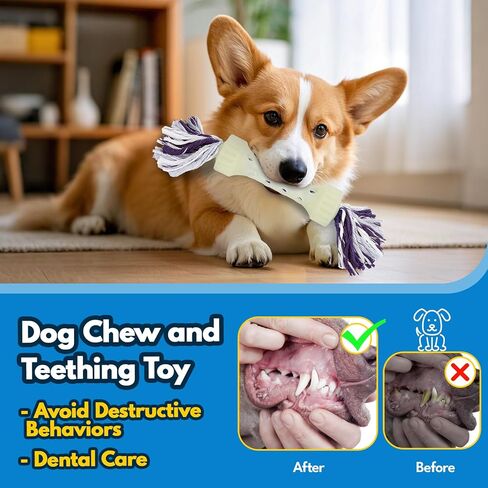 Glow-in-The-Dark Dog Toy – Interactive Fetch, Tug & Treat Puzzle for Small Dogs, 13" Lightweight Flying Disc with Dental Cleaning Texture, TPR & Rope Calming Chew Toy for Anxiety Relief in Kuwait