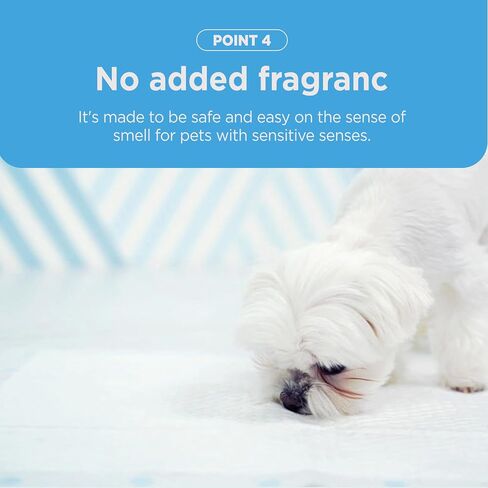Absorbent Dog Pee Pads 'KOOKJE Mung Mung Pad' (Charcoal, Small) in Kuwait