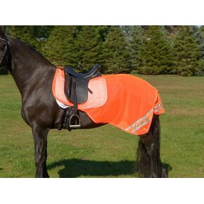 SHIRES Equi-Flector® Mesh Exercise Sheet (57 ")